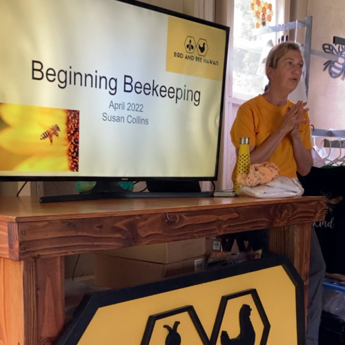 Susan Teaching