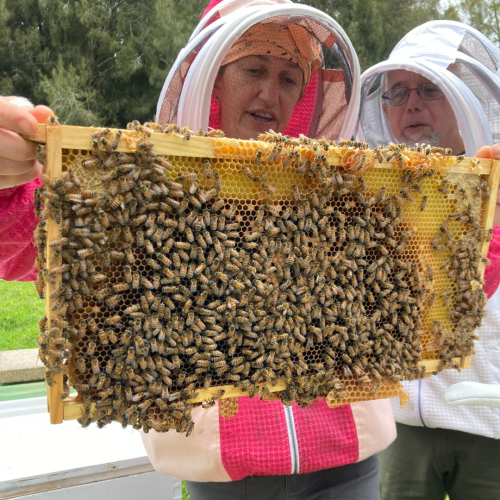 Susan Holding Frame