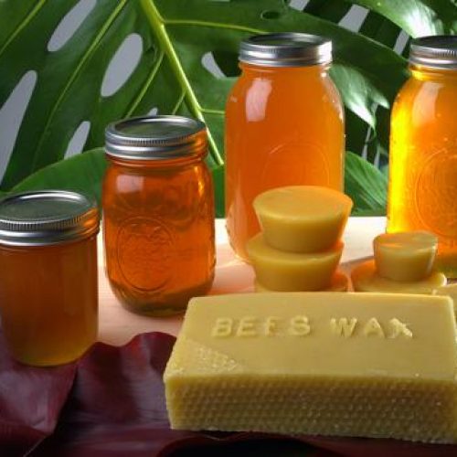 BeeCompany