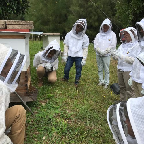 Bird and Bee Farm and Apiary