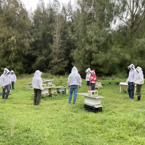 Students in the Field